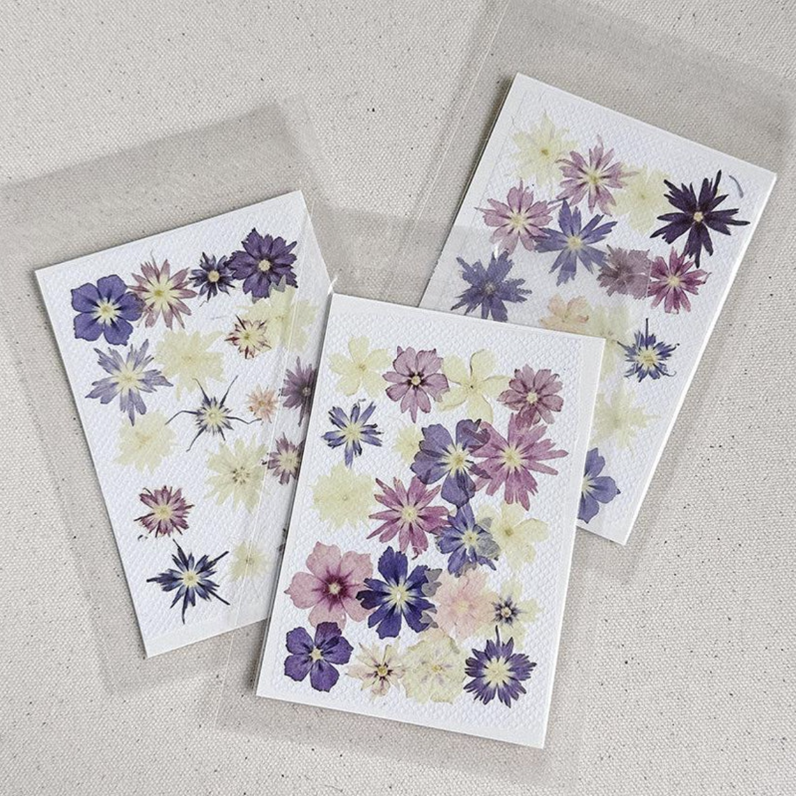 Hand Pressed Organically Grown Real Flowers - Summer Collection Set