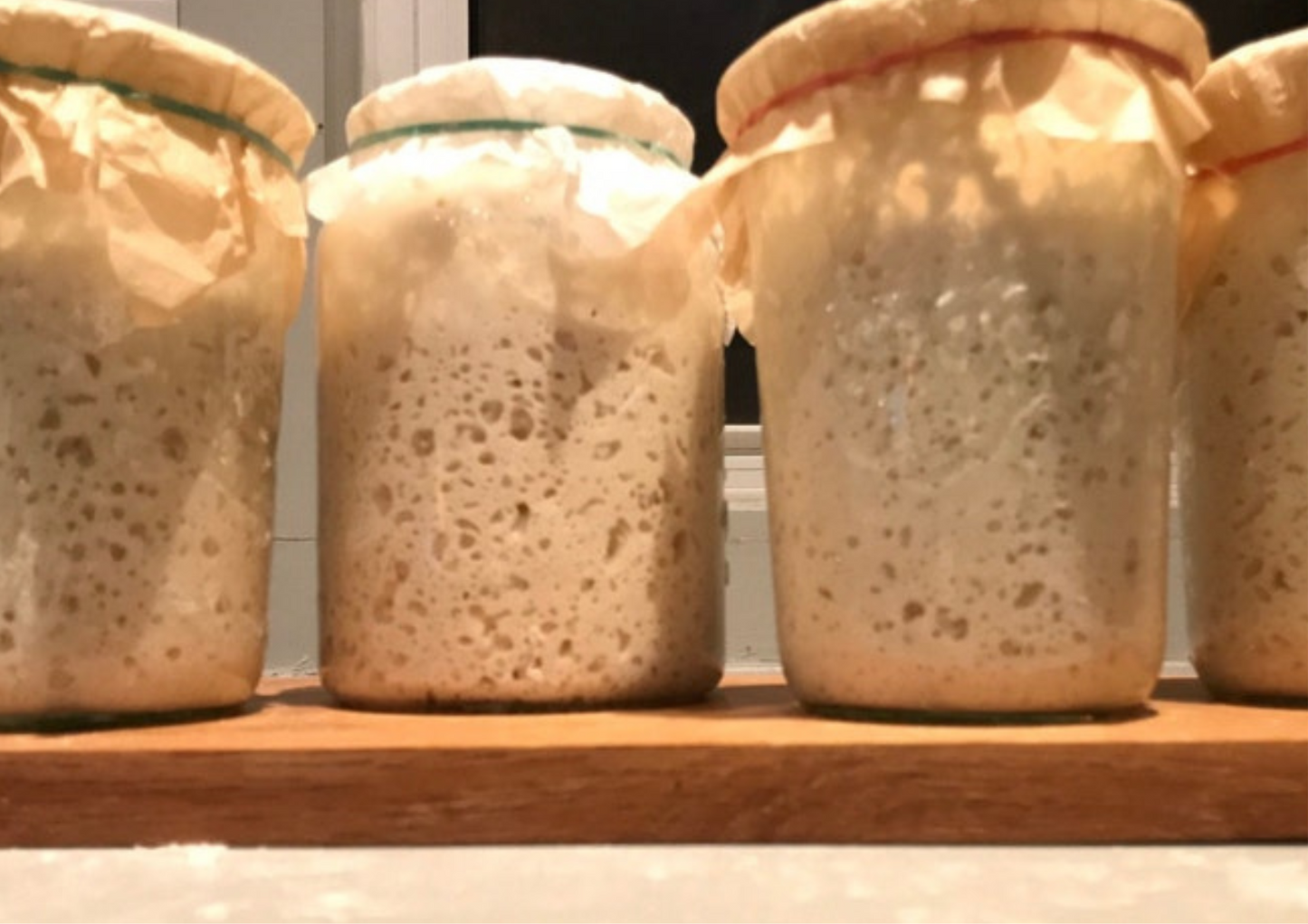 Organic Sourdough Starter for Sourdough Bread Lovers
